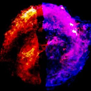 Meet your Posher, Joshua